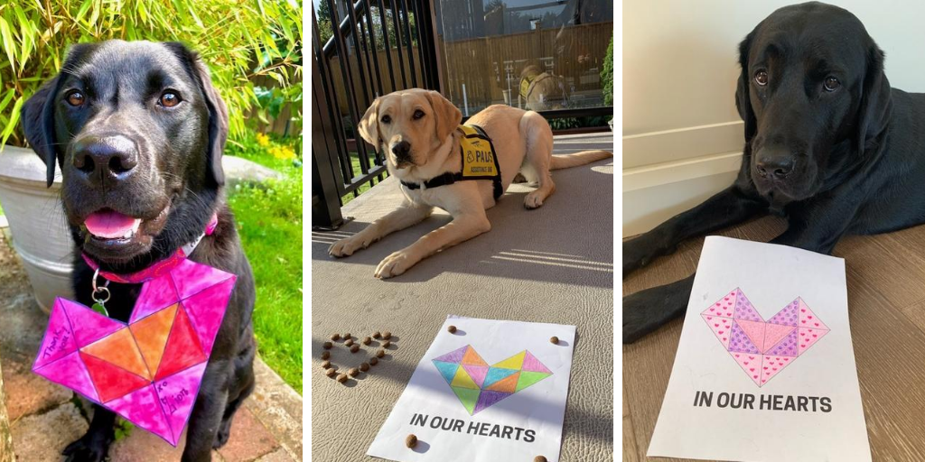 Three Labrador Retriever dogs next to coloured geometric hearts with the text "In Our Hearts"